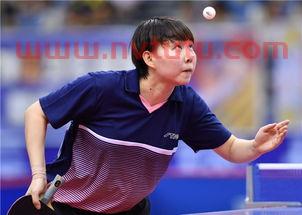 孙颖莎获得过几次世界冠军(全国锦标赛乒乓球河北)