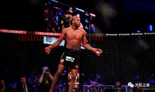 ufc黑龙拳击踢拳综合格斗战绩,ufc281黑龙卫冕几次了