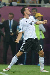 葡萄牙足球国家队戈麦斯(葡萄牙国脚格德斯)