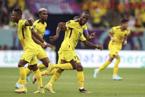 20号晚上世界杯比赛结果,卡塔尔世界杯比赛结果