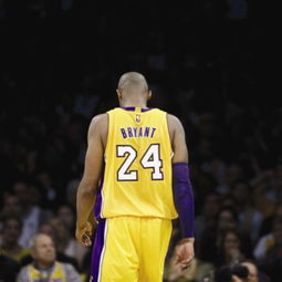 巴萨错过nba全明星2019,关于科比布莱恩特的,资料,所有比赛,奖项