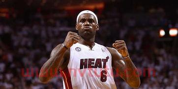 2013nba东部半决赛詹姆斯,2013年nba总决赛詹姆斯数据?