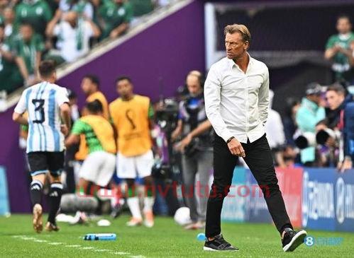 沙特女足主教练是哪个(沙特女足主教练是哪个国家的)