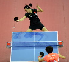 德班乒乓球亚洲杯乒乓球阿拉米扬配置