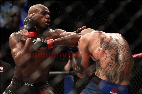 ufc组合拳击法,UFC中各种格斗技