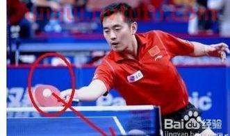 世界冠军乒乓球绝技视频,乒乓球绝技